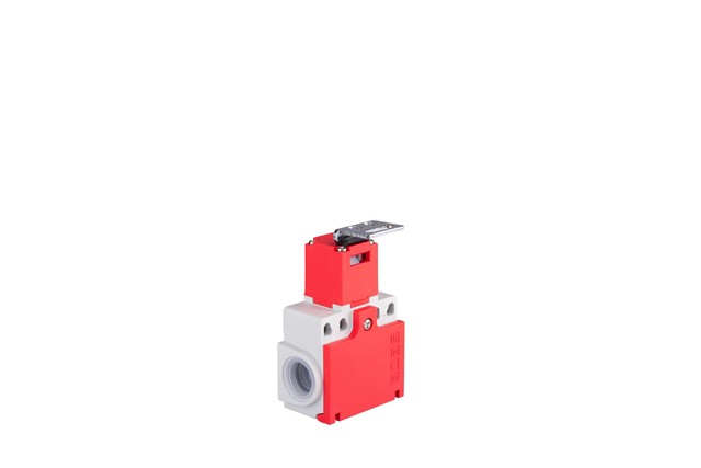 L22 Plastic Body Metal With Right Angle+Flat Key Safety Switch Slow Action 1NO+1NC Limit Switch
